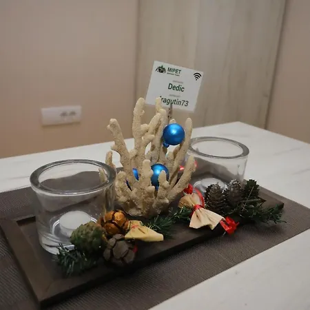 Hotel apartamentowy Mipet Zlatibor